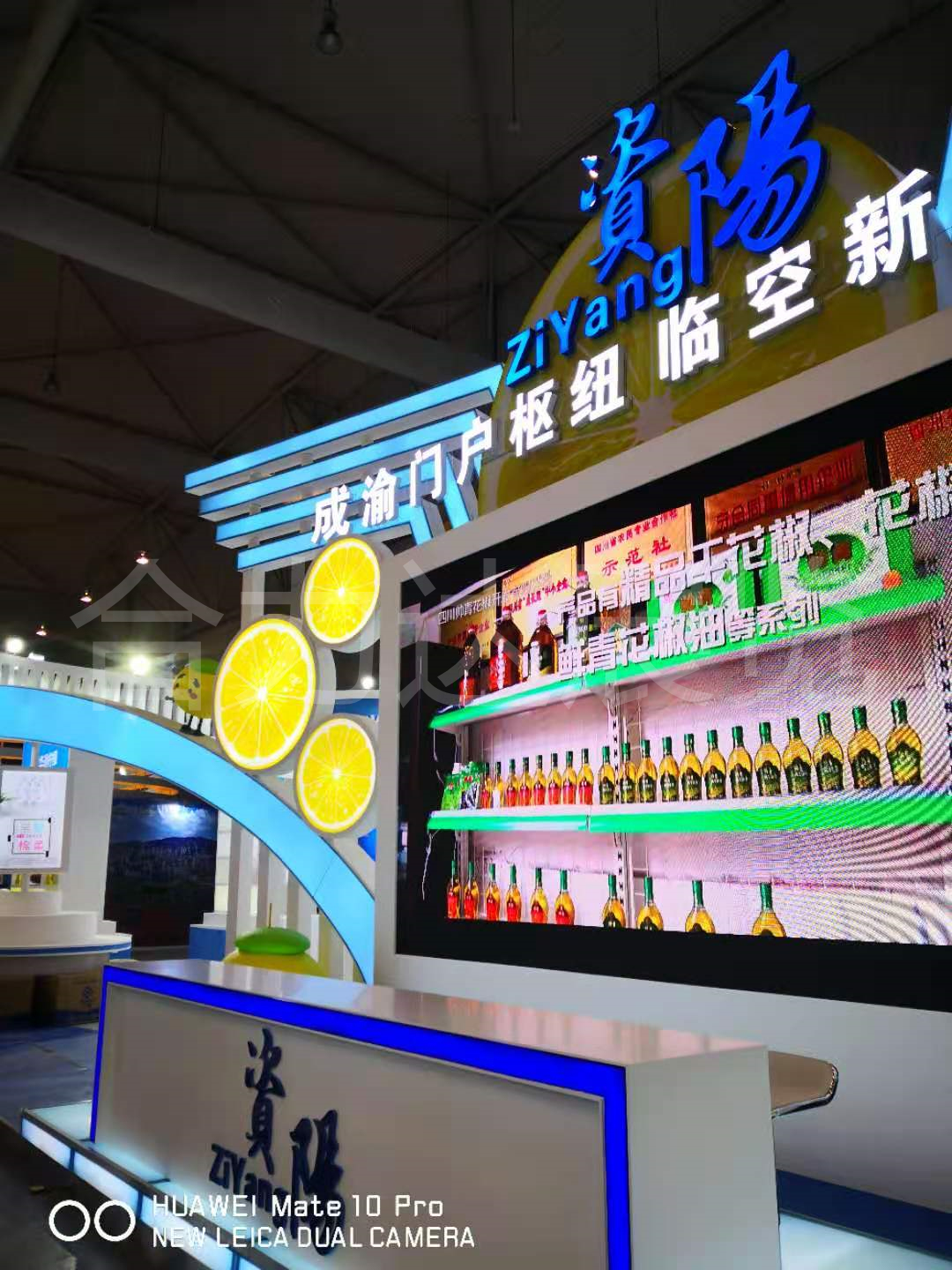 首屆四川省消費品精品展—資陽館